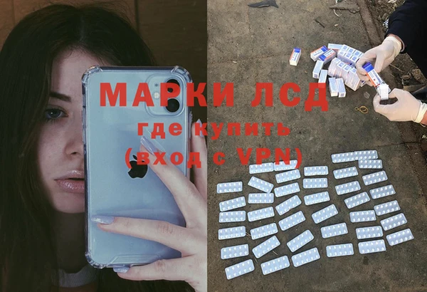 apvp Алексин