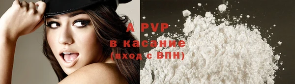 apvp Алексин