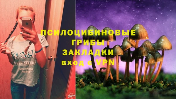 стаф Алексеевка