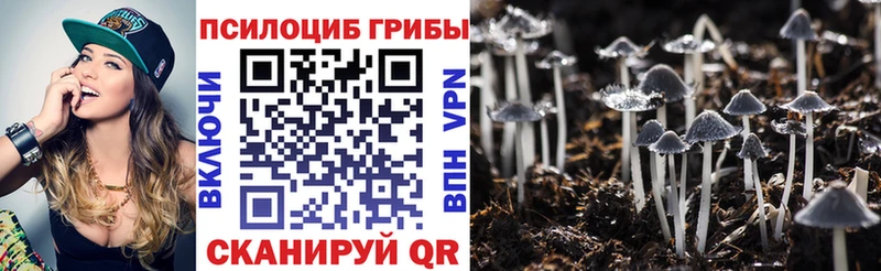 Псилоцибиновые грибы прущие грибы  где купить наркоту  Когалым 
